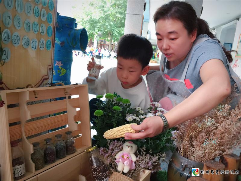 3给幼儿讲解植物角的知识.jpg