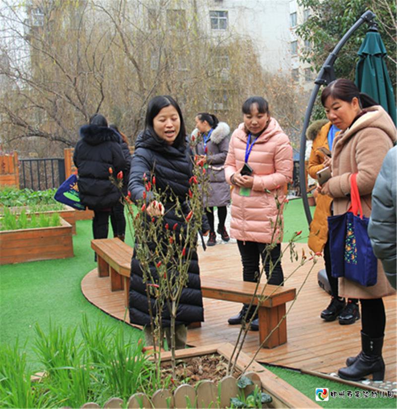 6保教主任周游莉为国培教师们介绍耕苑种植作物.jpg